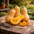 Abóbora Butternut - Cucurbita Moschata Duchesne: 10 Sementes - Imagem 1