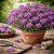 Alyssum Violeta: 20 Sementes - Imagem 1