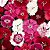 Cravina Anã Singela Sortida - Dianthus chinesis - 15 Sementes - Imagem 2