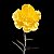 Cravo Amarelo - Dianthus caryophyllus  - 15 Sementes - Imagem 7