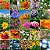 Mix de Flores Sortidas: 300+ Sementes - Imagem 2