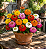 Zinnia Lilliput Sortido: 15 Sementes - Imagem 1