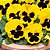 Amor Perfeito Amarelo Gigante Suíço -Viola tricolor: 15 Sementes - Imagem 2