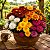 Crisântemo Dobrado Sortido - Chrysanthemum coronarium - 20 Sementes - Imagem 1