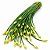 Cebolinha Chinesa (Nirá) - Allium tuberosum - 20 Sementes - Imagem 1