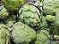 Alcachofra Verde: 10 Sementes - Imagem 2