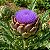 Alcachofra Verde: 5 Sementes - Imagem 1
