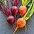 Beterraba Golden (Laranja): 20 Sementes - Imagem 2