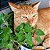 Erva dos Gatos (Catnip) ORGÂNICO: 20 Sementes - Imagem 2