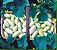 Pepino Branco: 10 Sementes - Imagem 5