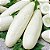 Pepino Branco: 10 Sementes - Imagem 1