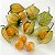 Physalis Fruta (Golden Berry): 20 Sementes - Imagem 4