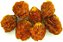 Physalis Fruta (Golden Berry): 20 Sementes - Imagem 10