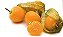 Physalis Fruta (Golden Berry): 20 Sementes - Imagem 7