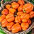 Pimentão Laranja: 10 Sementes - Imagem 2