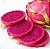 Pitaya Vermelha (Dragon Fruit): 15 Sementes - Imagem 1