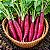 Rabanete Comprido: 50 Sementes - Imagem 1