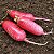 Rabanete Comprido: 50 Sementes - Imagem 2