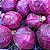 Repolho Roxo: 50 Sementes - Imagem 1