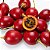 Tamarillo (Tomate Árvore): 5 Sementes - Imagem 1