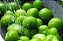 Tomatillo Verde ORGÂNICO: 20 Sementes - Imagem 7