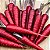 Cenoura Vermelha Atomic Red ORGÂNICO: 20 Sementes - Imagem 1