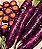 Cenoura Roxa Cosmic Purple: 50 Sementes - Imagem 4