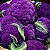 Couve Flor Roxa: 50 Sementes - Imagem 1