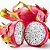 Pitaya (Dragon Fruit): 15 Sementes - Imagem 2