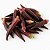 Quiabo Roxo: 10 Sementes - Imagem 1