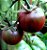 Tomate Black Cherry ORGÂNICO: 20 Sementes - Imagem 9