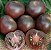 Tomate Black Cherry ORGÂNICO: 20 Sementes - Imagem 7