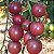 Tomate Black Cherry: 20 Sementes - Imagem 1