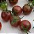 Tomate Black Cherry: 20 Sementes - Imagem 8