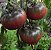 Tomate Black Krim: 20 Sementes - Imagem 10