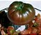 Tomate Black Krim: 20 Sementes - Imagem 5