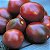 Tomate Black Plum: 20 Sementes - Imagem 3