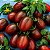 Tomate Black Plum: 20 Sementes - Imagem 1
