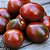 Tomate Black Plum: 20 Sementes - Imagem 2