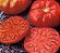 Tomate Caspian Pink: 20 Sementes - Imagem 2