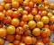 Tomate Cereja Laranja: 20 Sementes - Imagem 5
