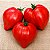 Tomate Coração de Boi: 20 Sementes - Imagem 1