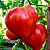 Tomate Coração de Boi: 20 Sementes - Imagem 2