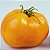 Tomate Golden Sunray: 20 Sementes - Imagem 1