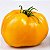 Tomate Golden Sunray: 20 Sementes - Imagem 1