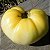 Tomate Great White Beefsteak ORGÂNICO: 20 Sementes - Imagem 2