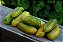 Tomate Green Sausage: 20 Sementes - Imagem 3