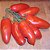 Tomate Italiano San Marzano: 20 Sementes - Imagem 8