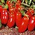 Tomate Italiano San Marzano: 20 Sementes - Imagem 2