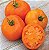 Tomate Laranja: 20 Sementes - Imagem 1